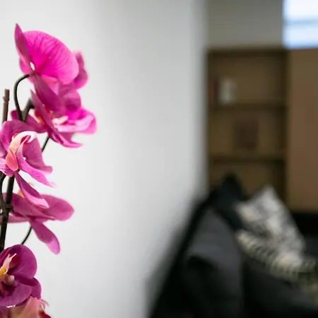 Apartment Toni's Syntagma, 1 Min From Metro Station *